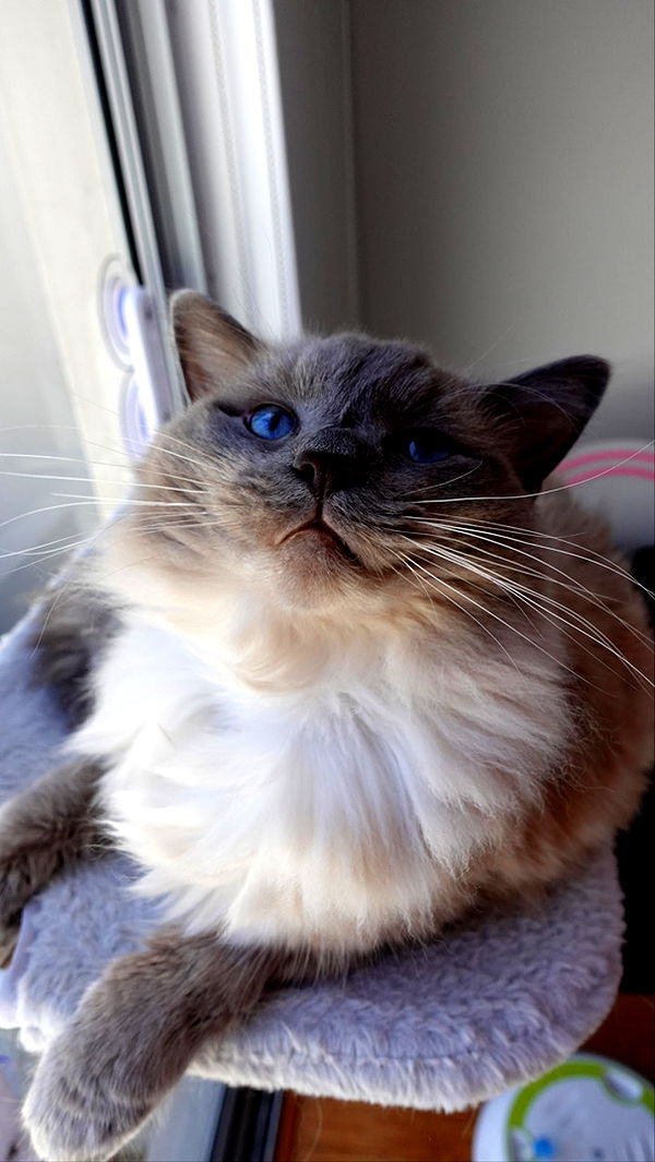 emxllouise image ~ Altpins