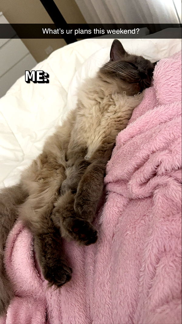 emxllouise image ~ Altpins