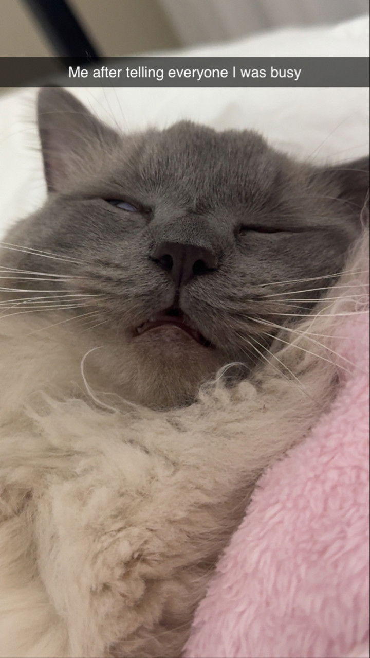 emxllouise snapchat image archive image