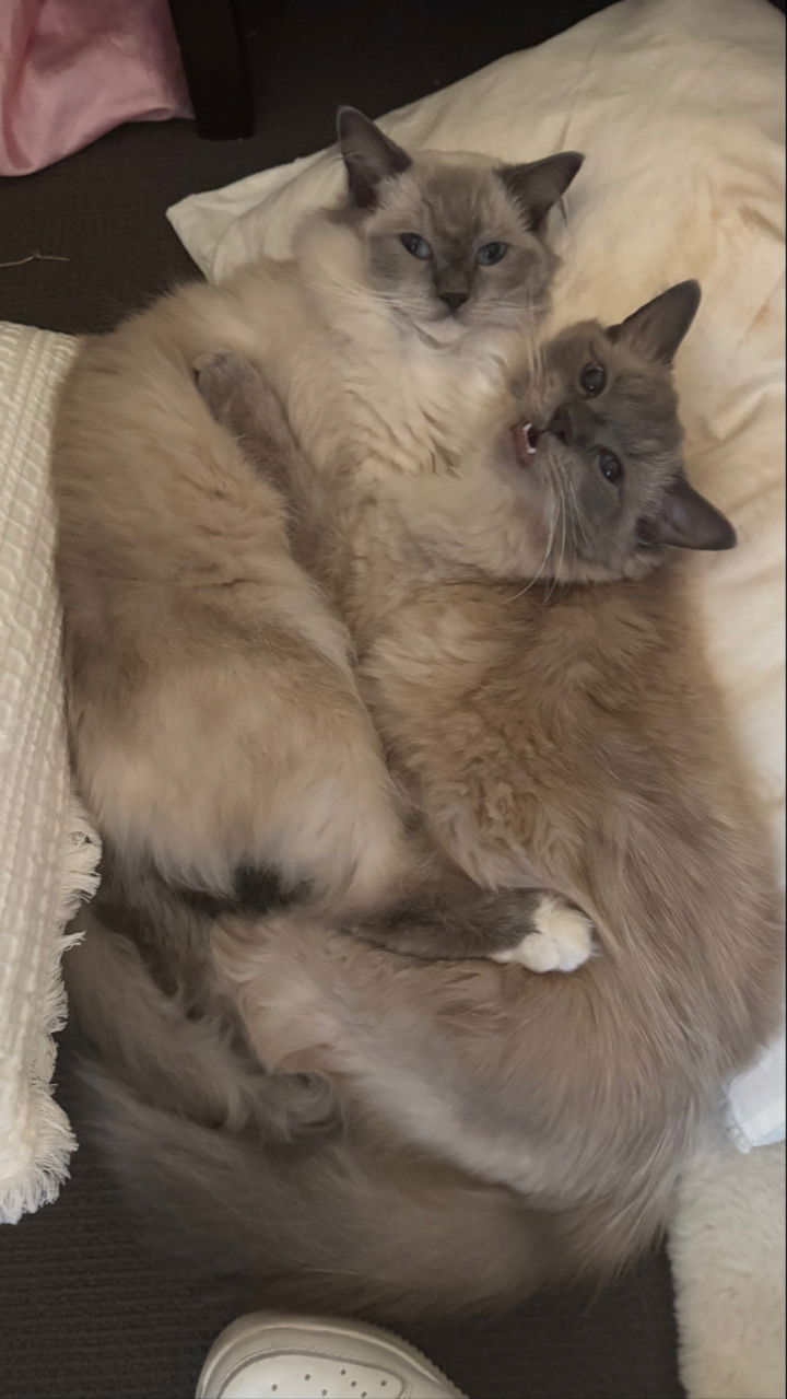 emxllouise snapchat image archive image