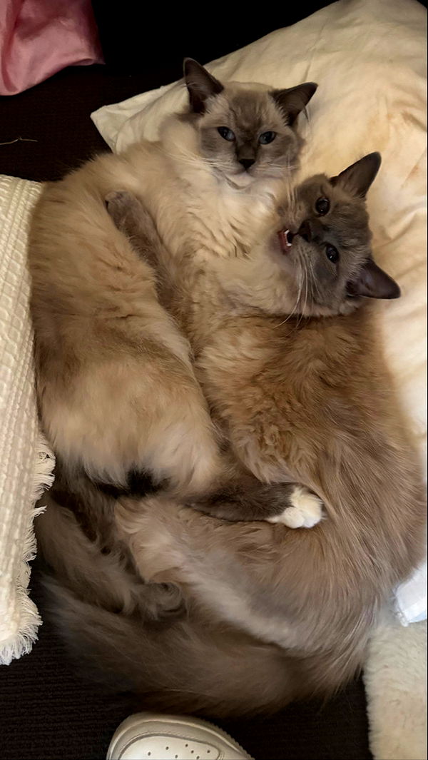 emxllouise image ~ Altpins