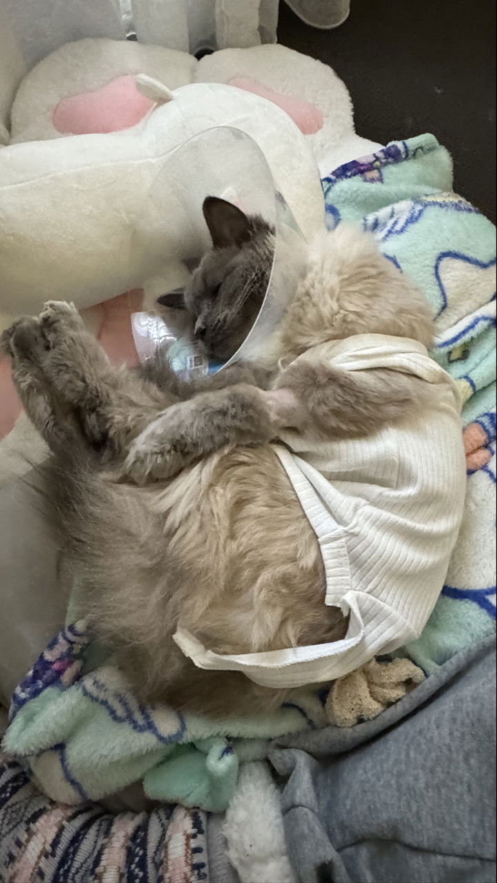 emxllouise snapchat image archive image