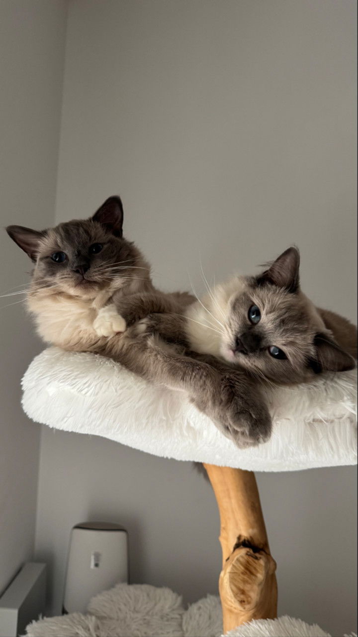 emxllouise snapchat image archive image