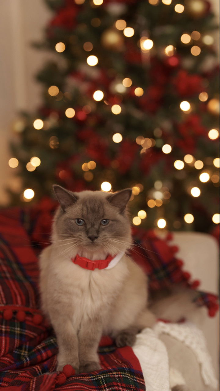 emxllouise snapchat image archive image