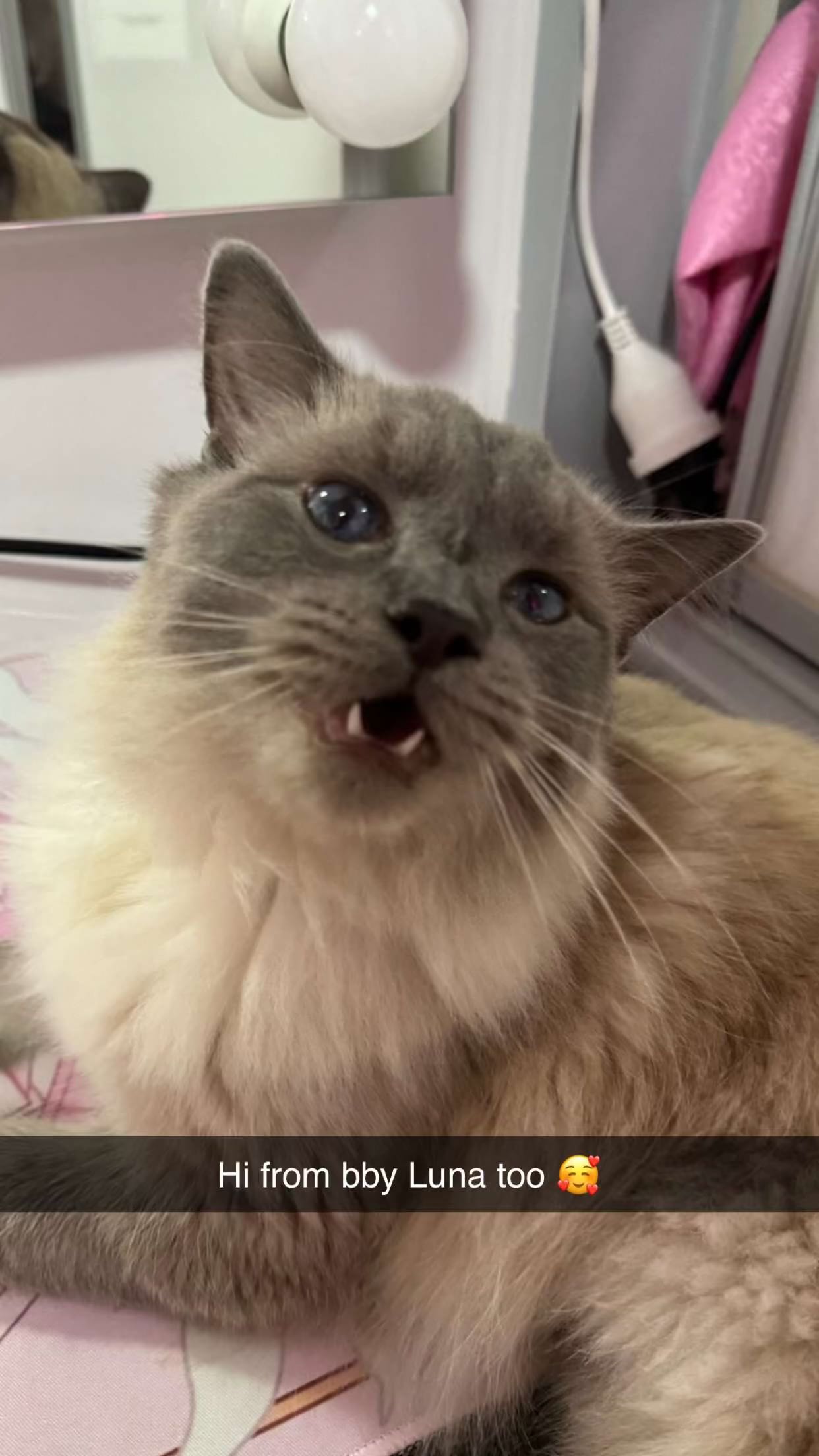 emxllouise snapchat image archive image