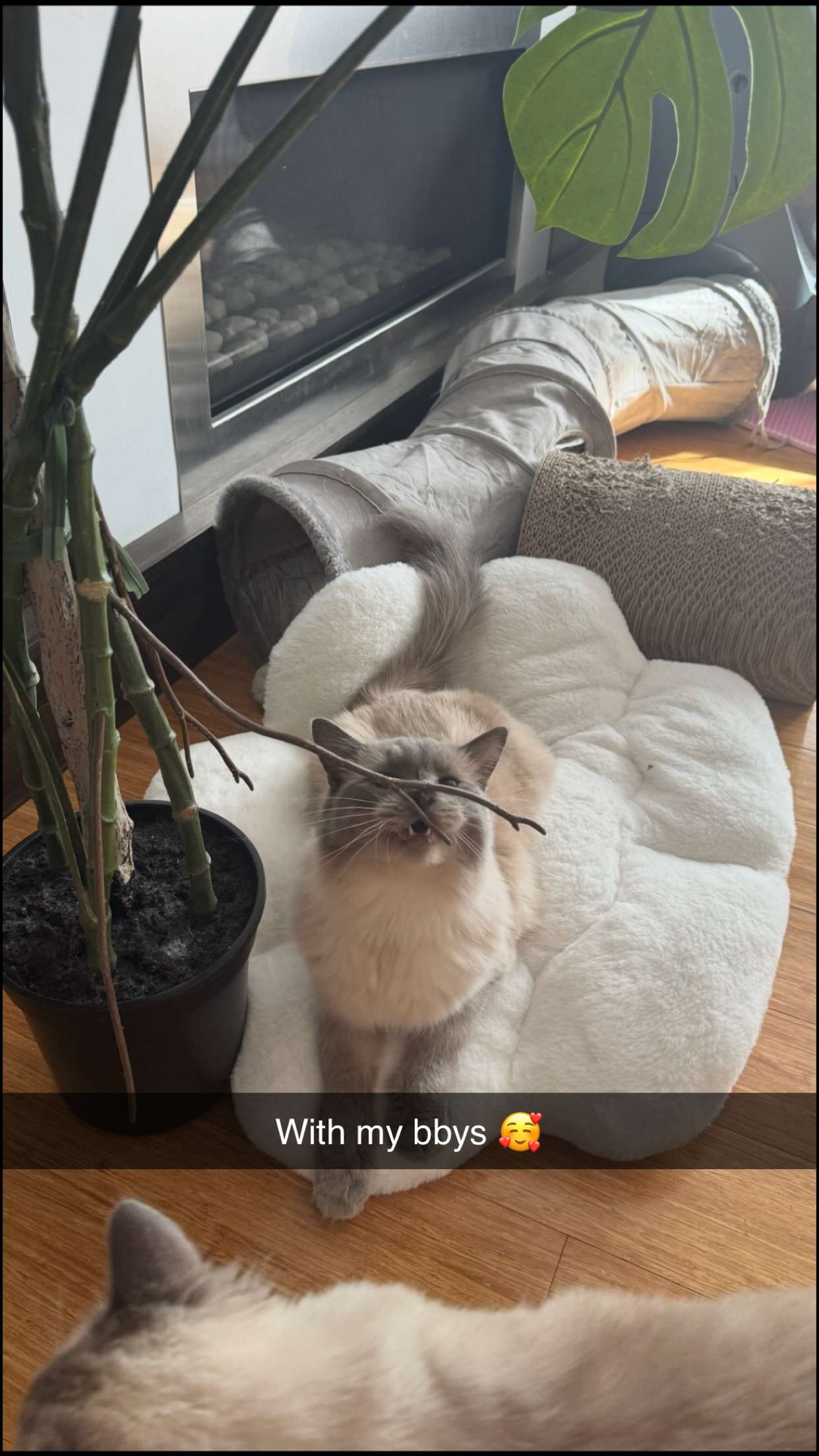 emxllouise snapchat image archive image