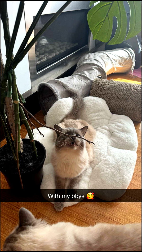 emxllouise image ~ Altpins