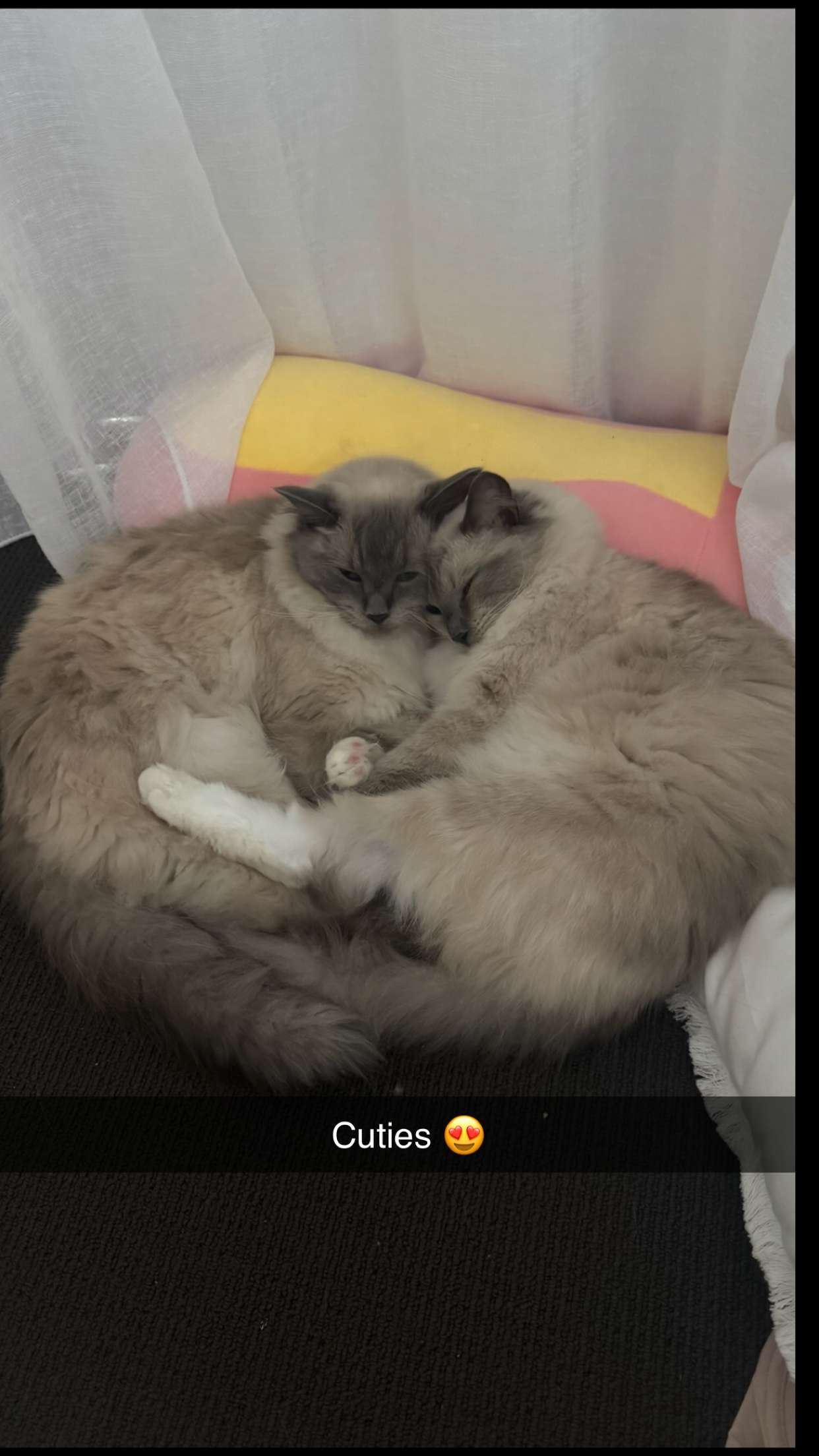 emxllouise snapchat image archive image