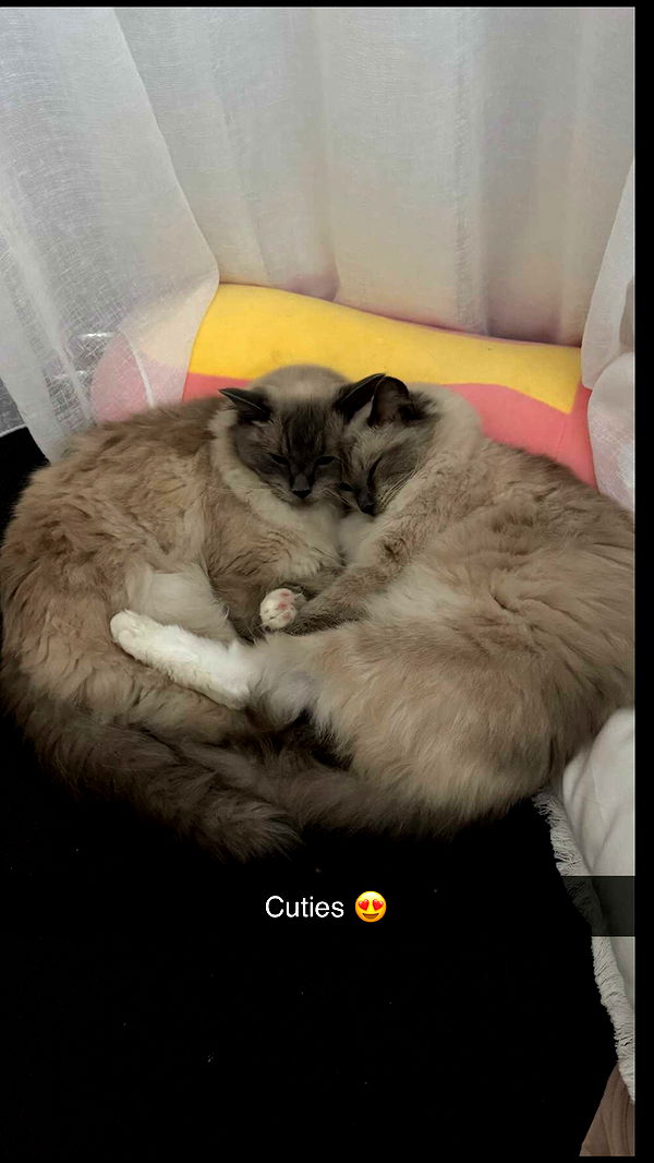 emxllouise image ~ Altpins