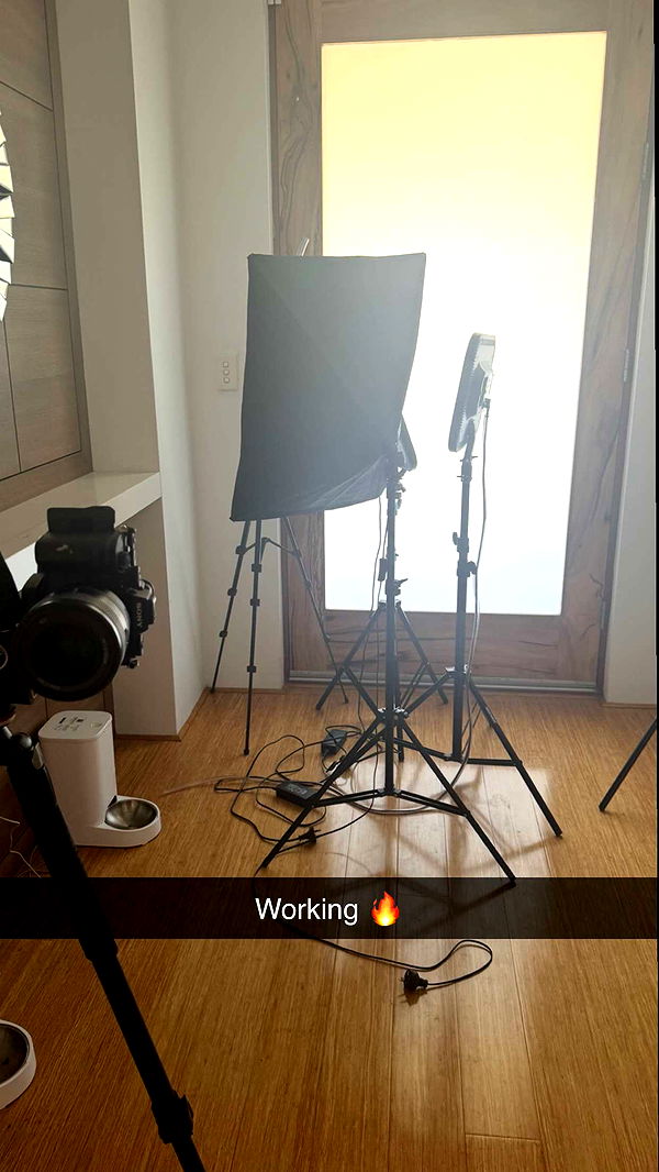 emxllouise image ~ Altpins