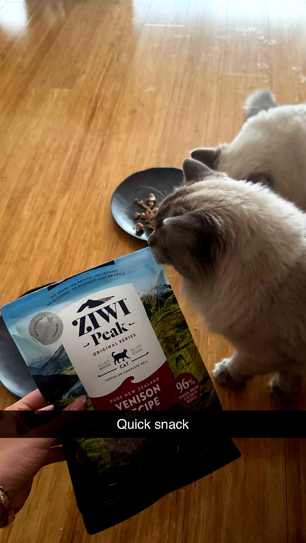 emxllouise image ~ Altpins