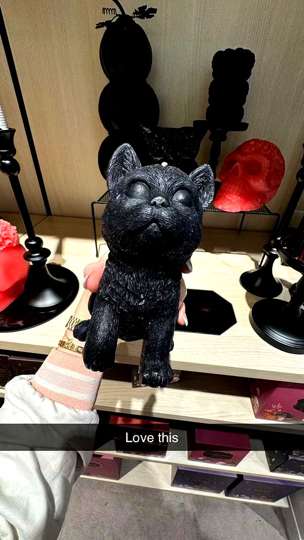 emxllouise image ~ Altpins