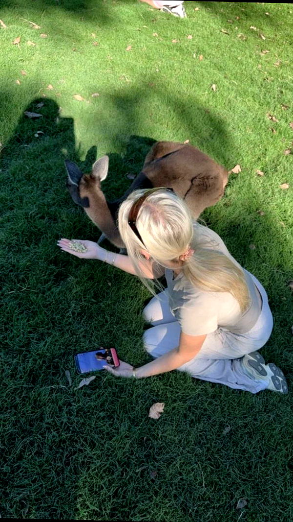 emxllouise image ~ Altpins