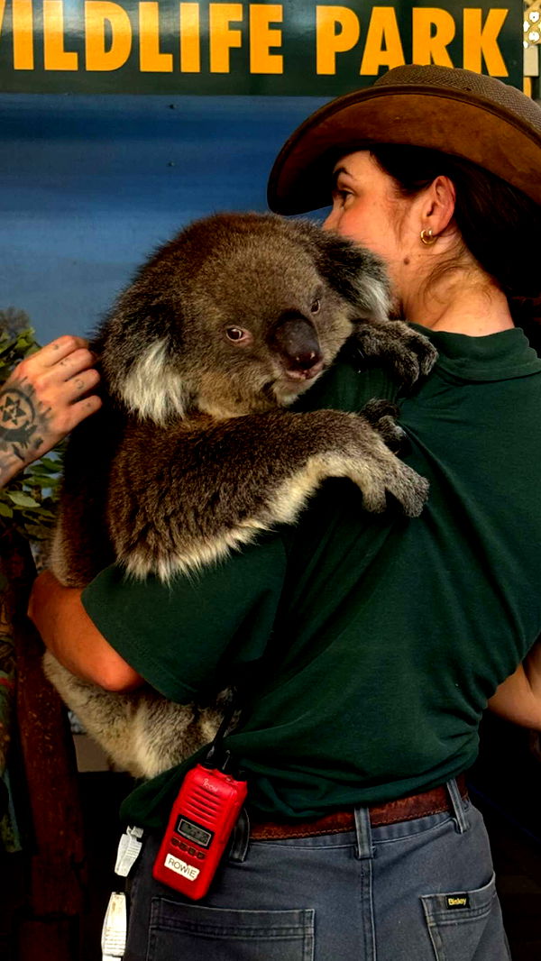 emxllouise image ~ Altpins