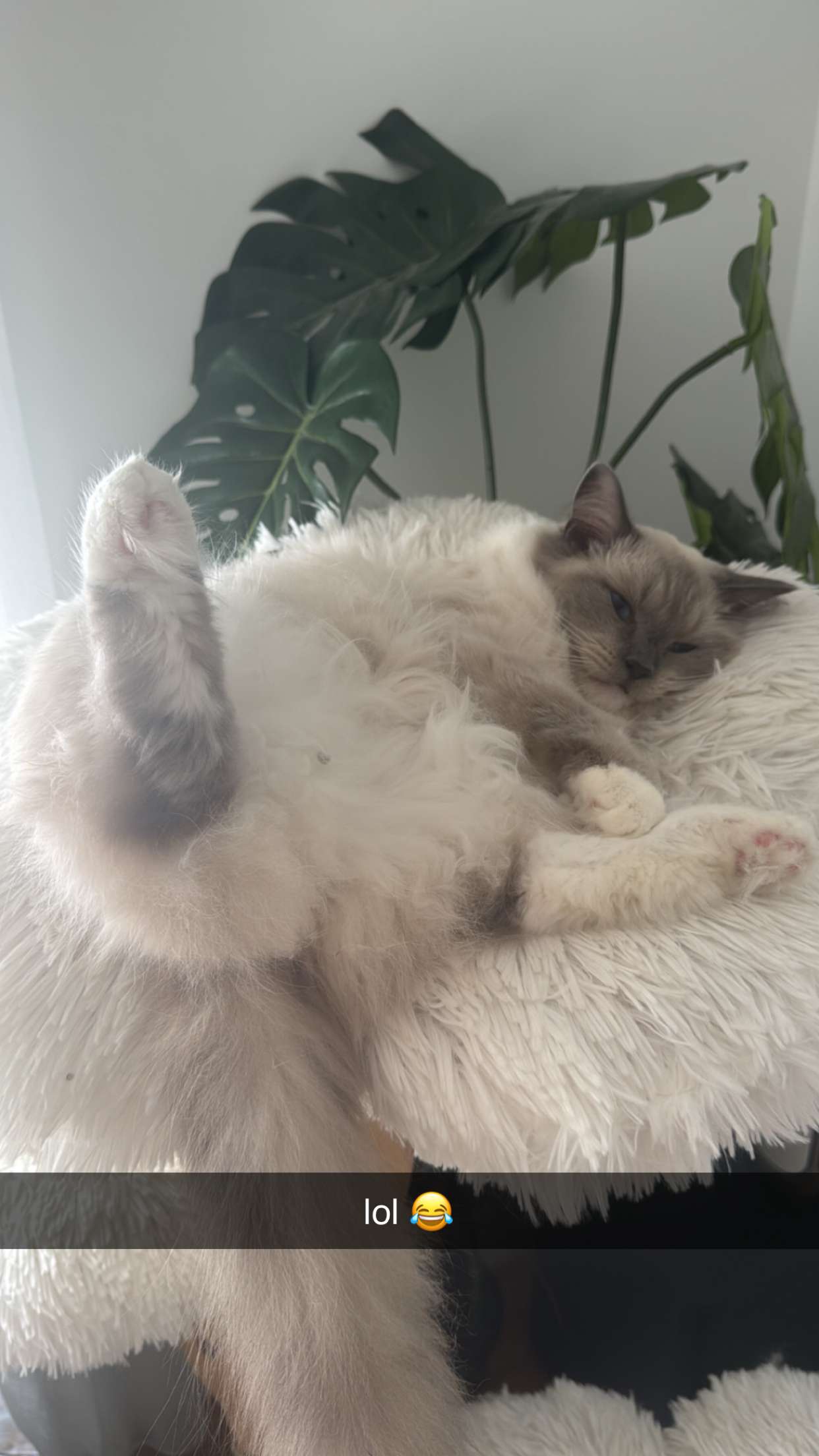 emxllouise snapchat image archive image