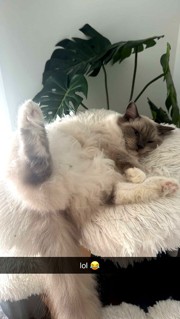 emxllouise image ~ Altpins