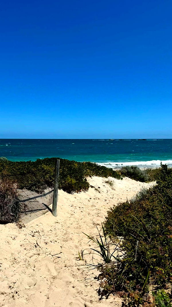 emxllouise image ~ Altpins