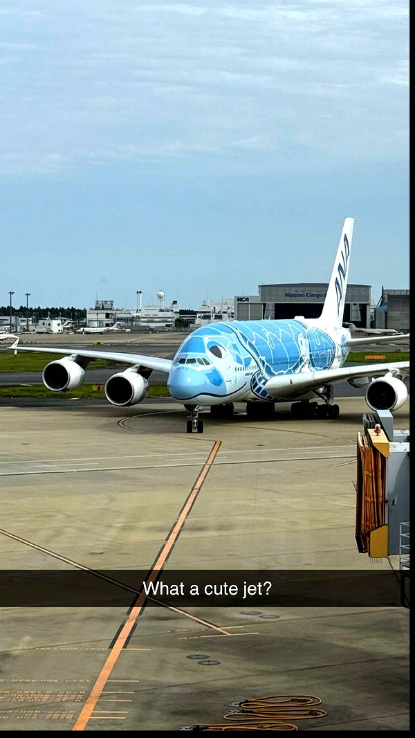 emxllouise image ~ Altpins