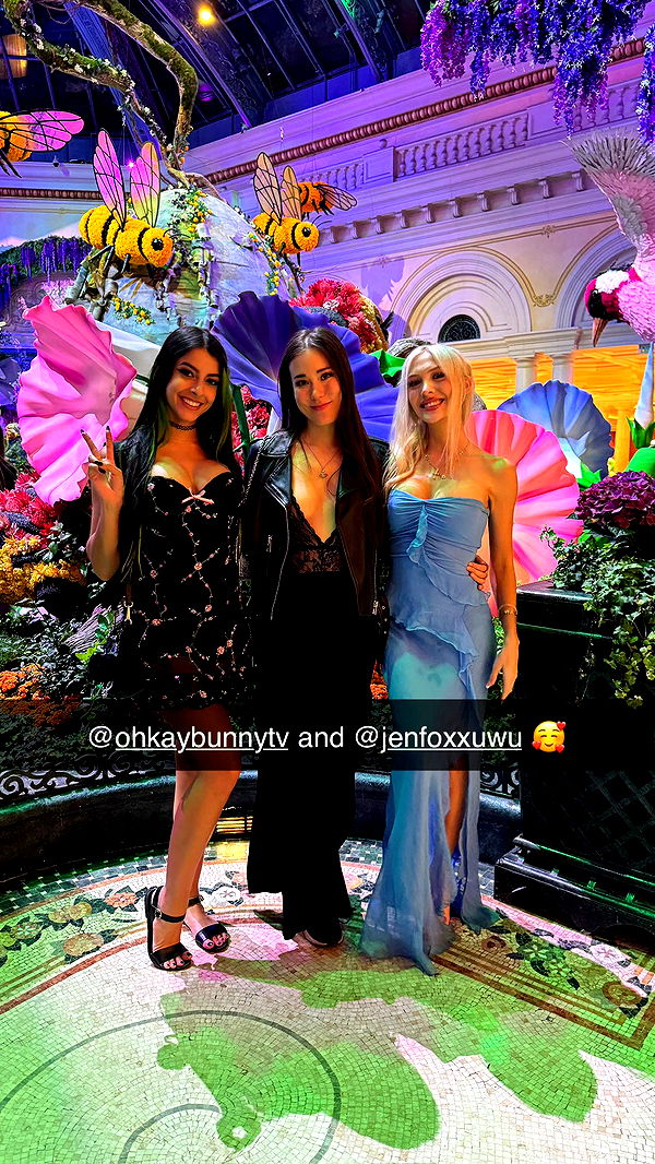 emxllouise image ~ Altpins