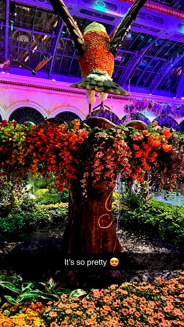 emxllouise image ~ Altpins