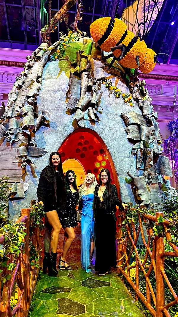 emxllouise image ~ Altpins