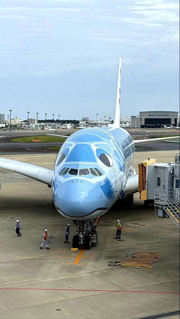 emxllouise image ~ Altpins