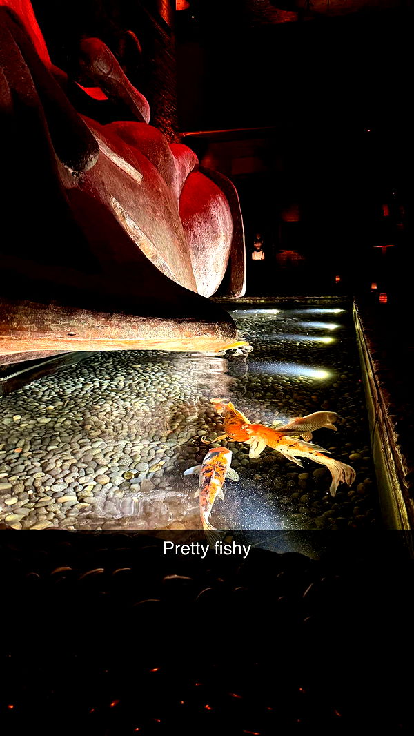 emxllouise image ~ Altpins