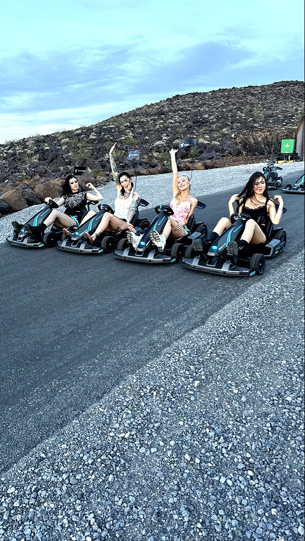 emxllouise image ~ Altpins