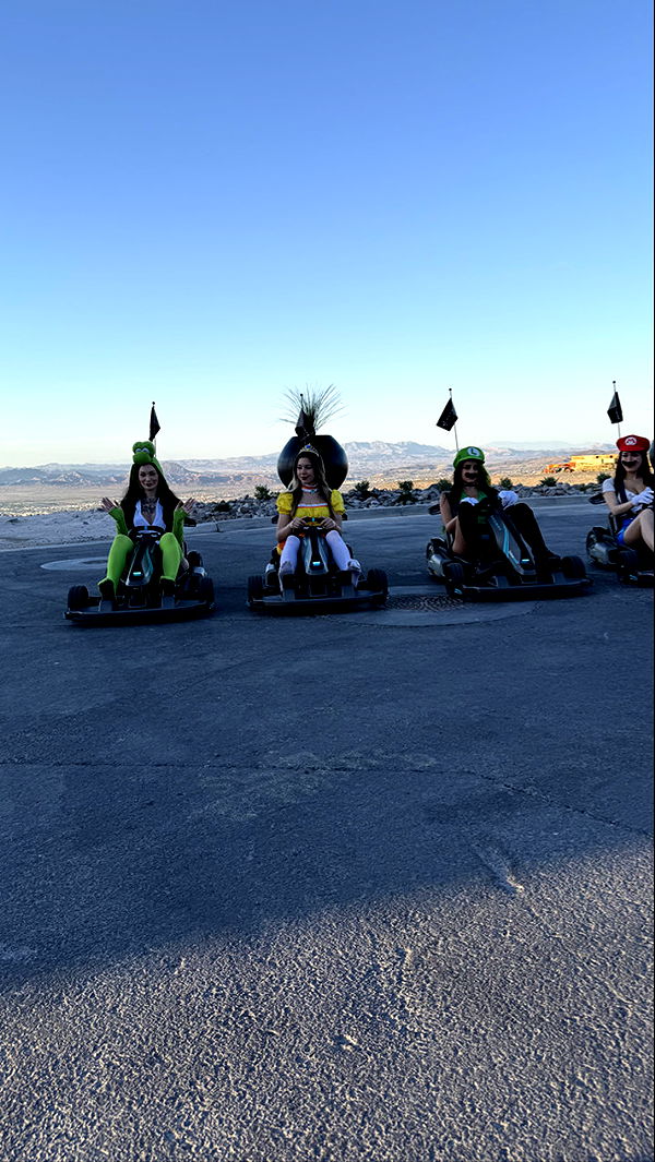 emxllouise image ~ Altpins