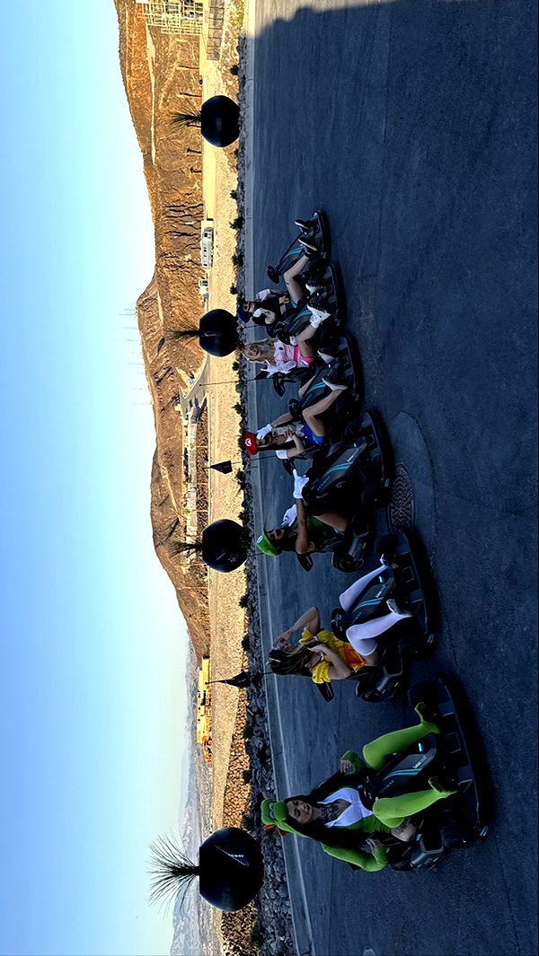 emxllouise image ~ Altpins