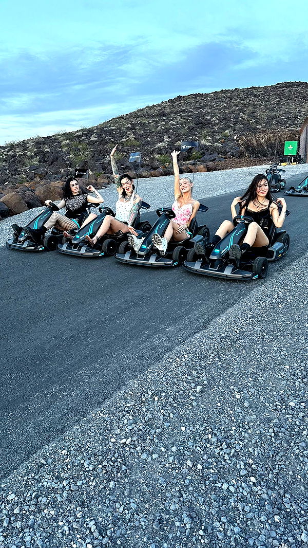 emxllouise image ~ Altpins