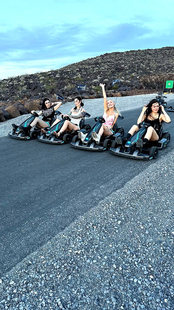 emxllouise image ~ Altpins