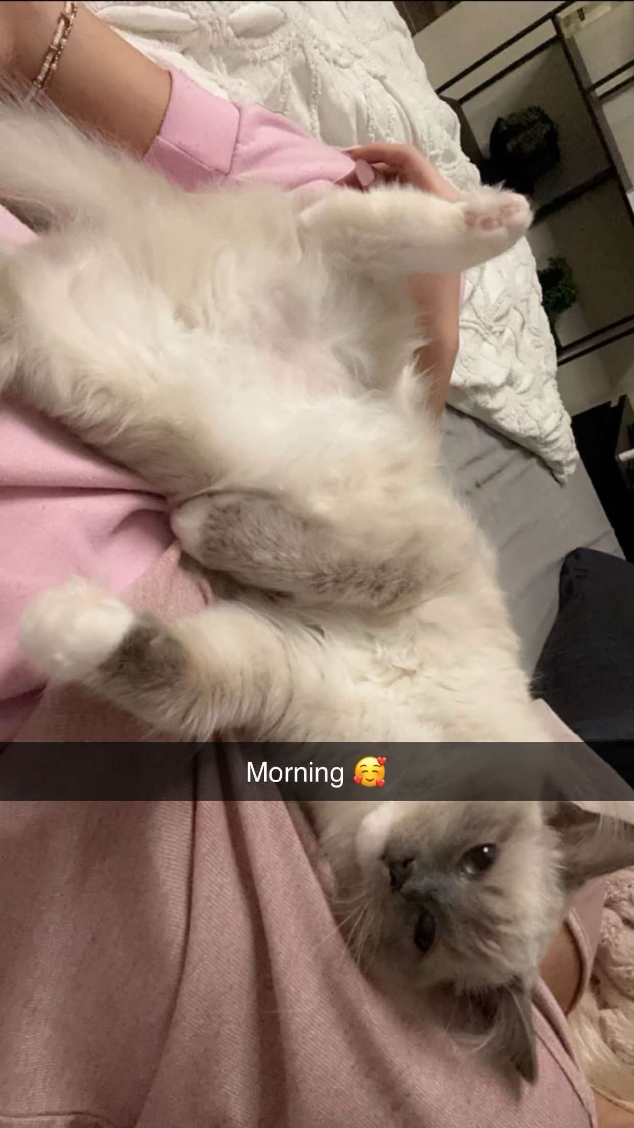 emxllouise snapchat image archive image