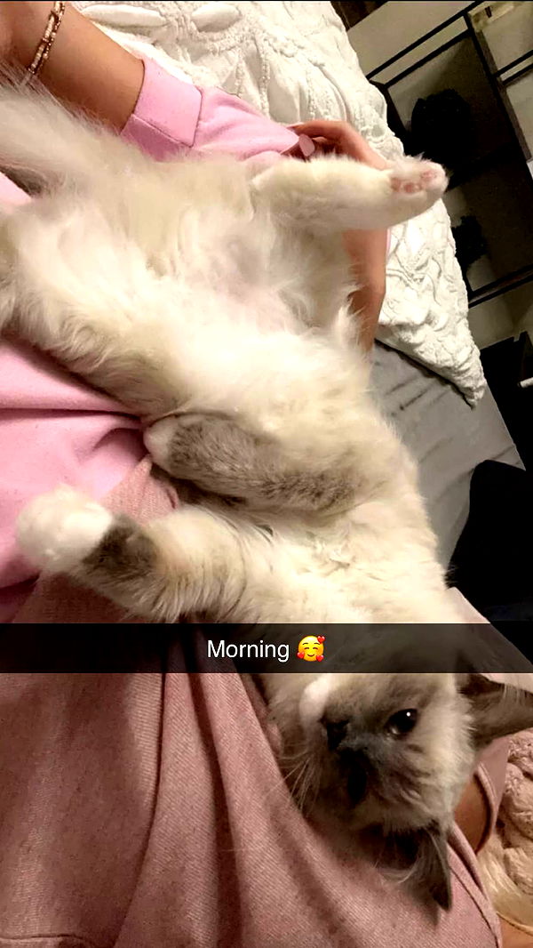 emxllouise image ~ Altpins