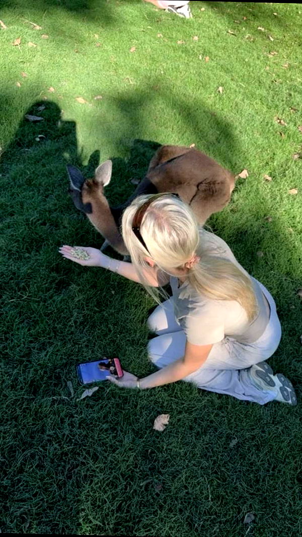 emxllouise image ~ Altpins