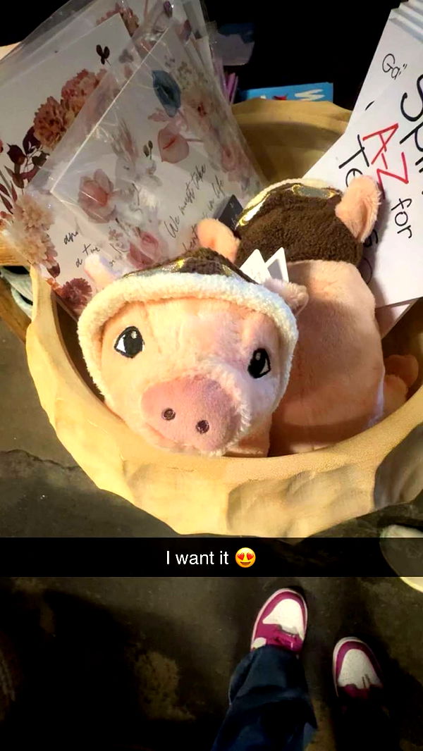 emxllouise image ~ Altpins