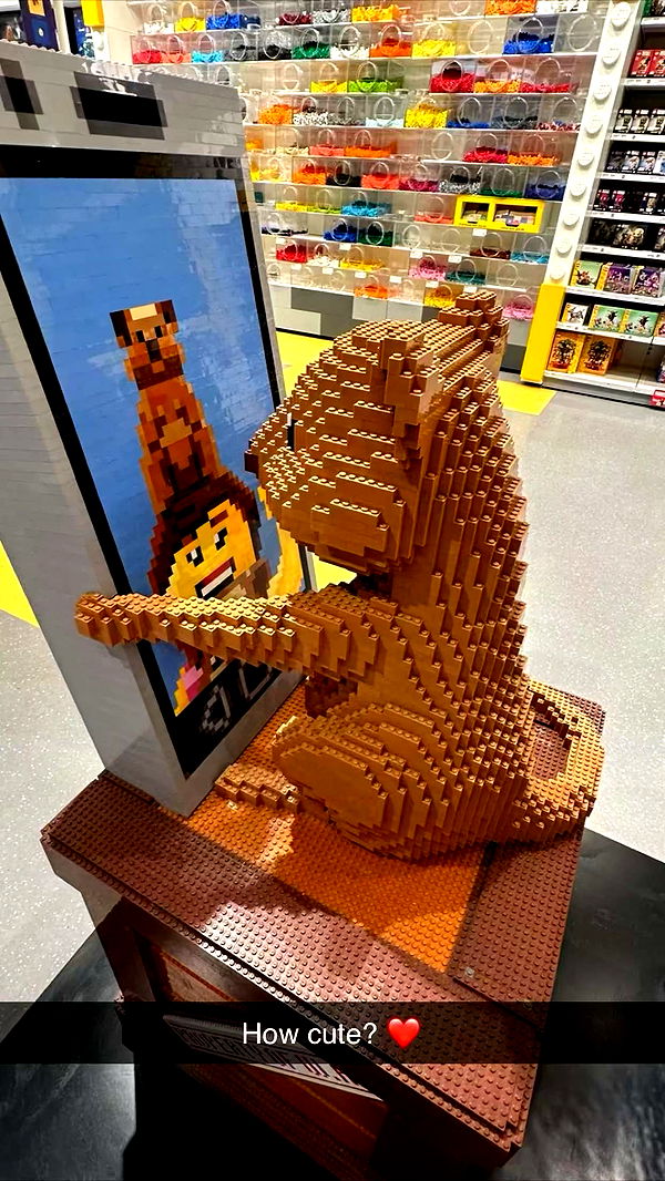 emxllouise image ~ Altpins