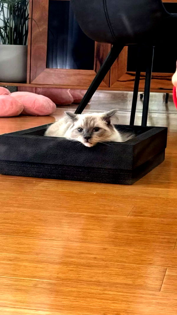 emxllouise image ~ Altpins