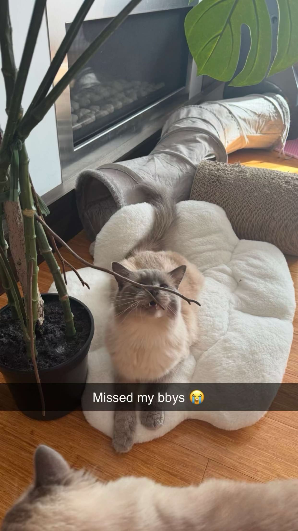 emxllouise snapchat image archive image