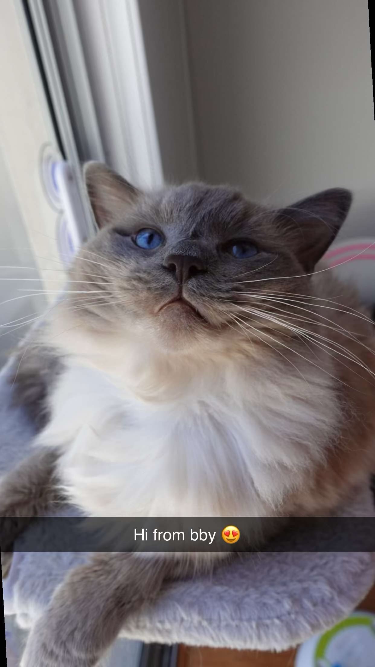 emxllouise snapchat image archive image