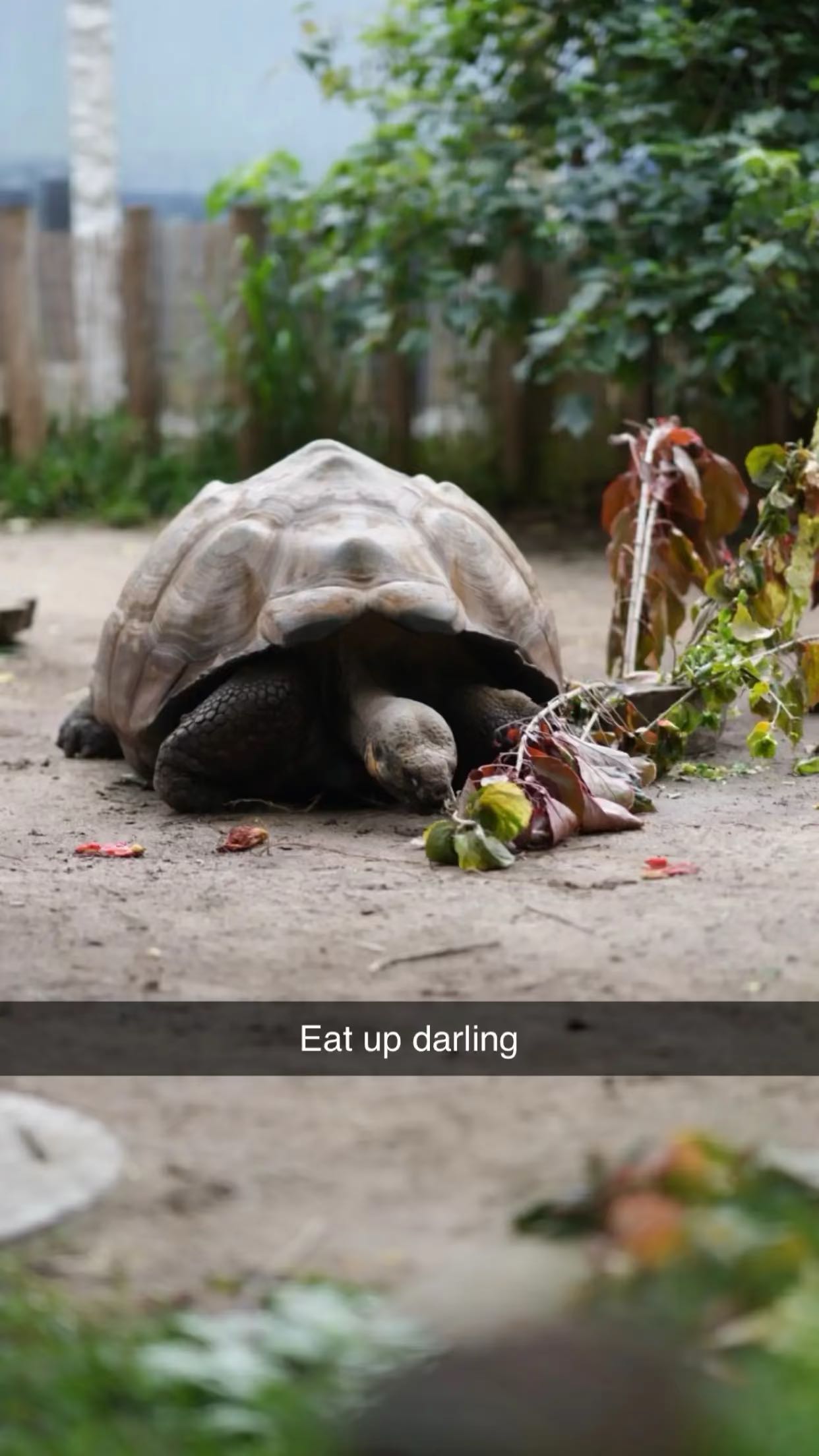 emxllouise snapchat image archive image