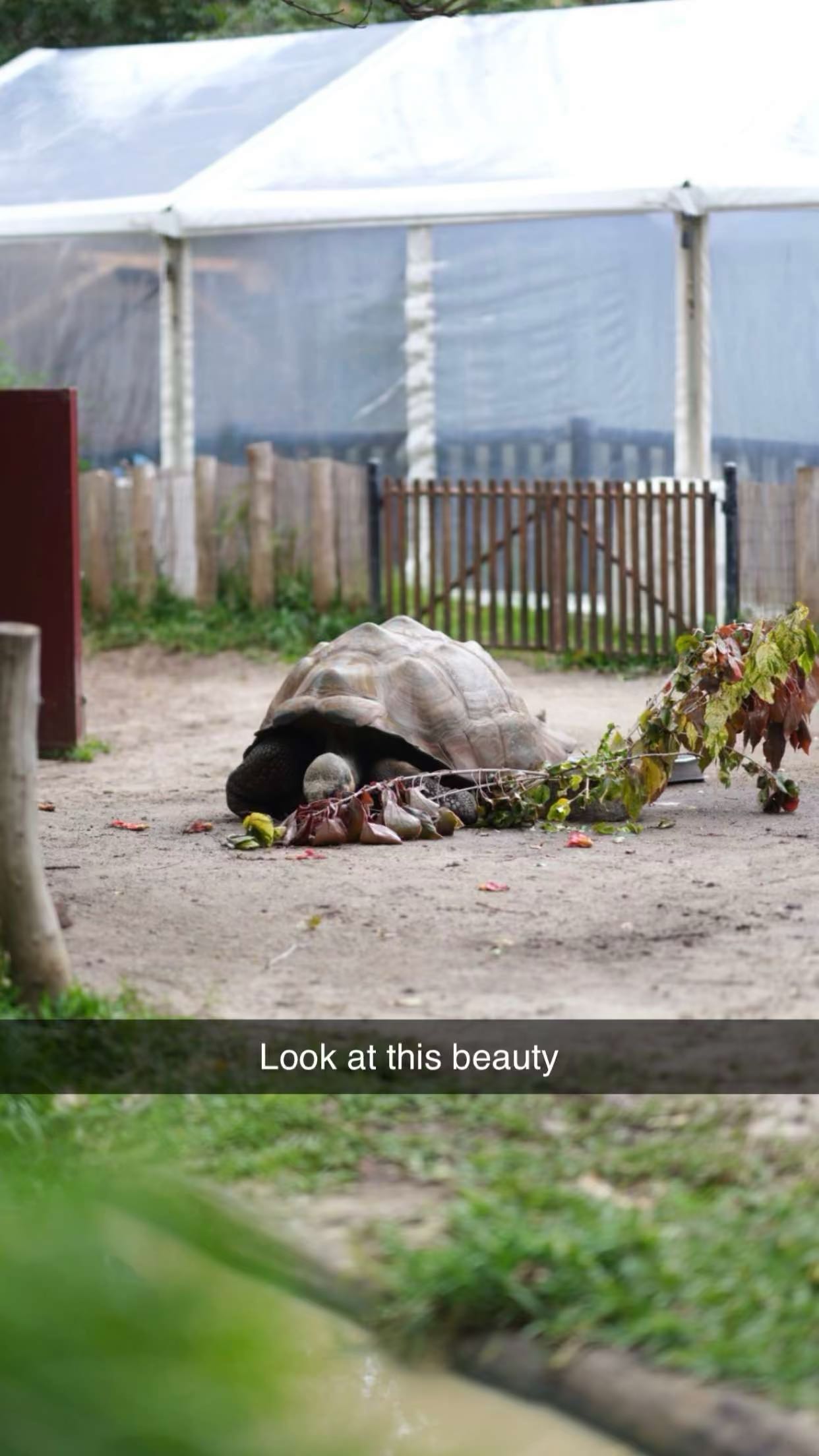 emxllouise snapchat image archive image