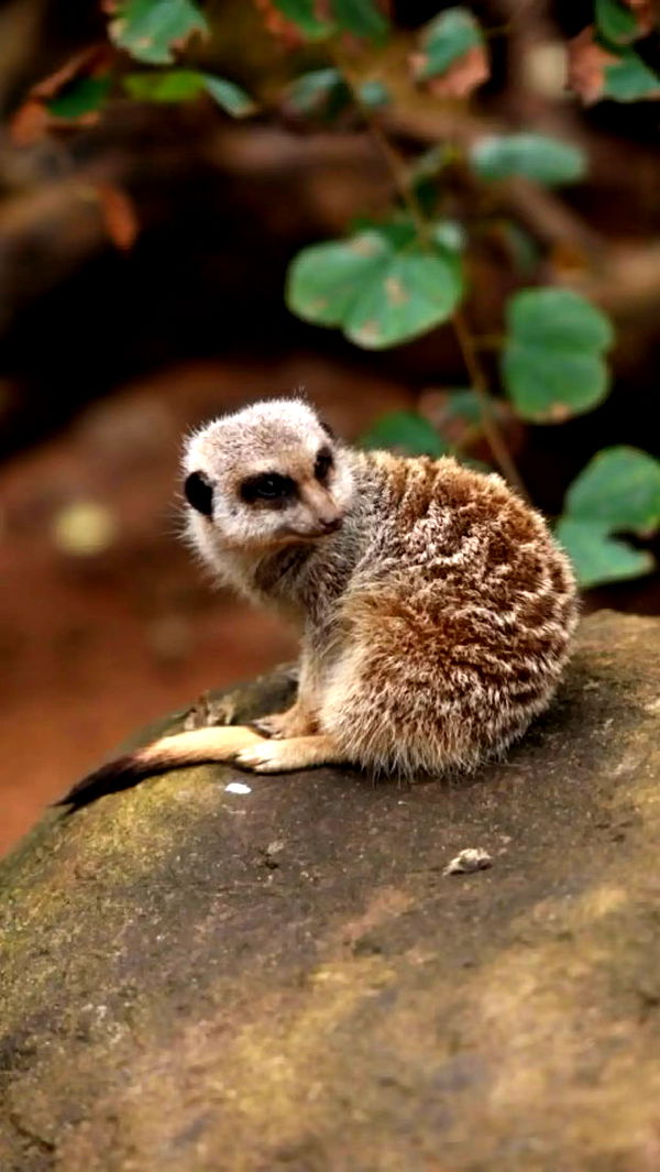 emxllouise image ~ Altpins