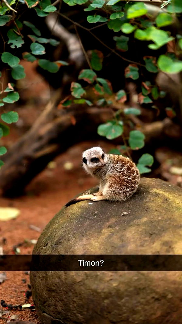 emxllouise image ~ Altpins