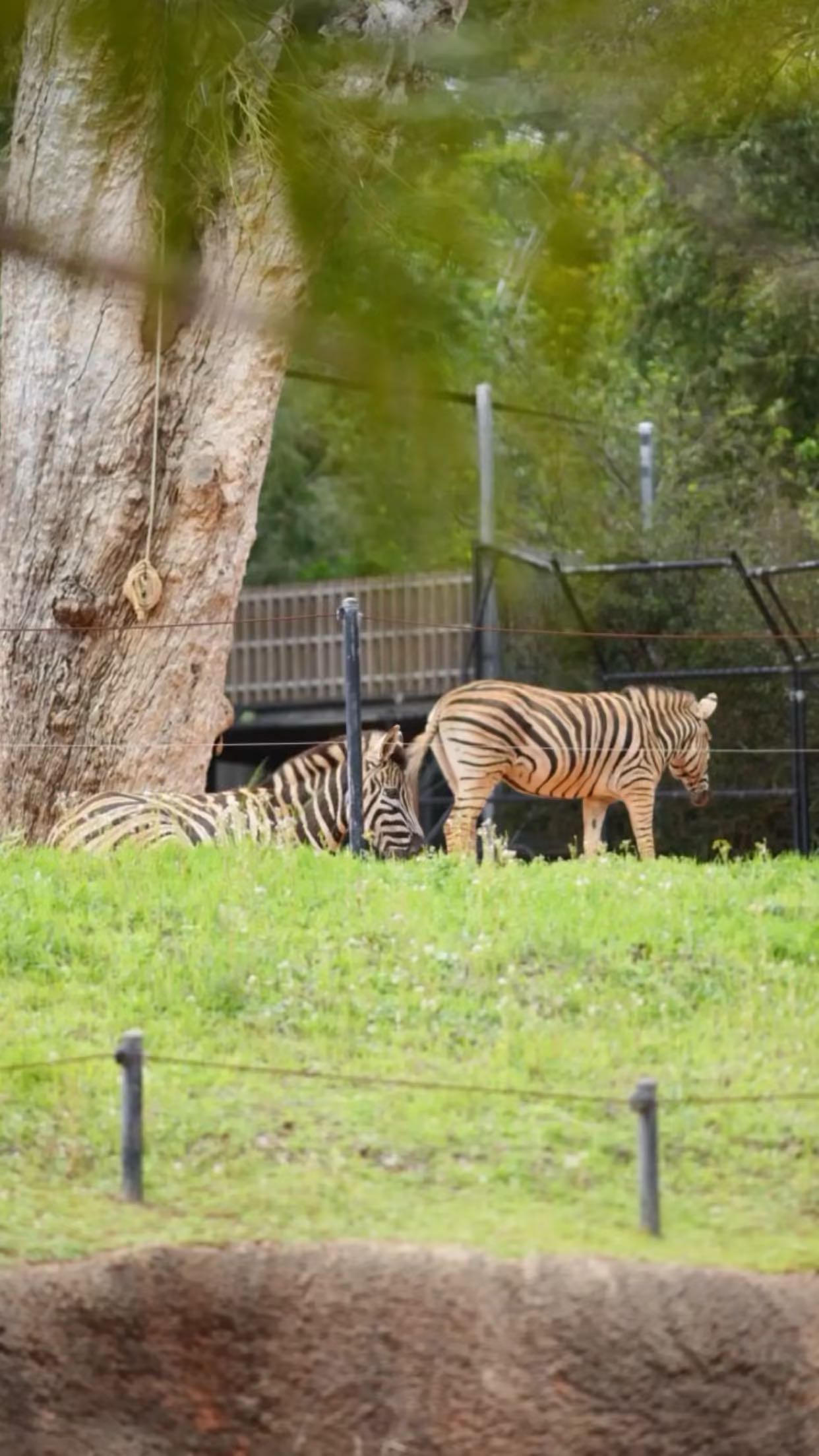 emxllouise snapchat image archive image