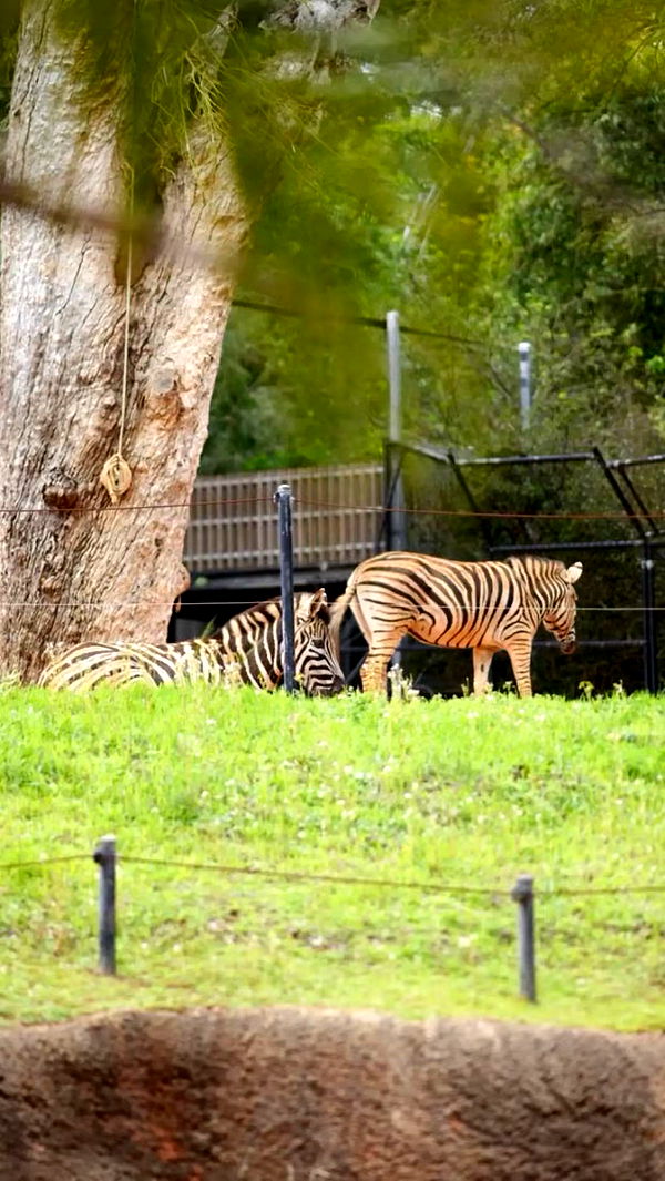 emxllouise image ~ Altpins