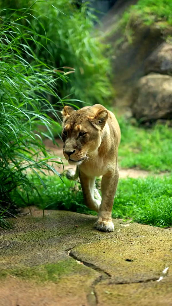 emxllouise image ~ Altpins