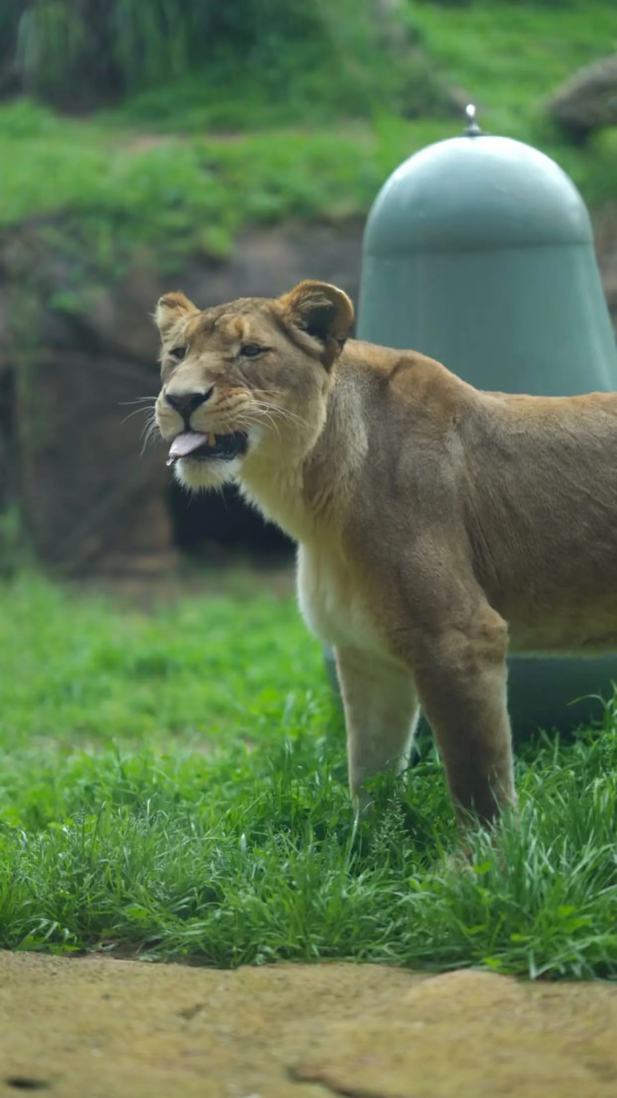 emxllouise snapchat image archive image