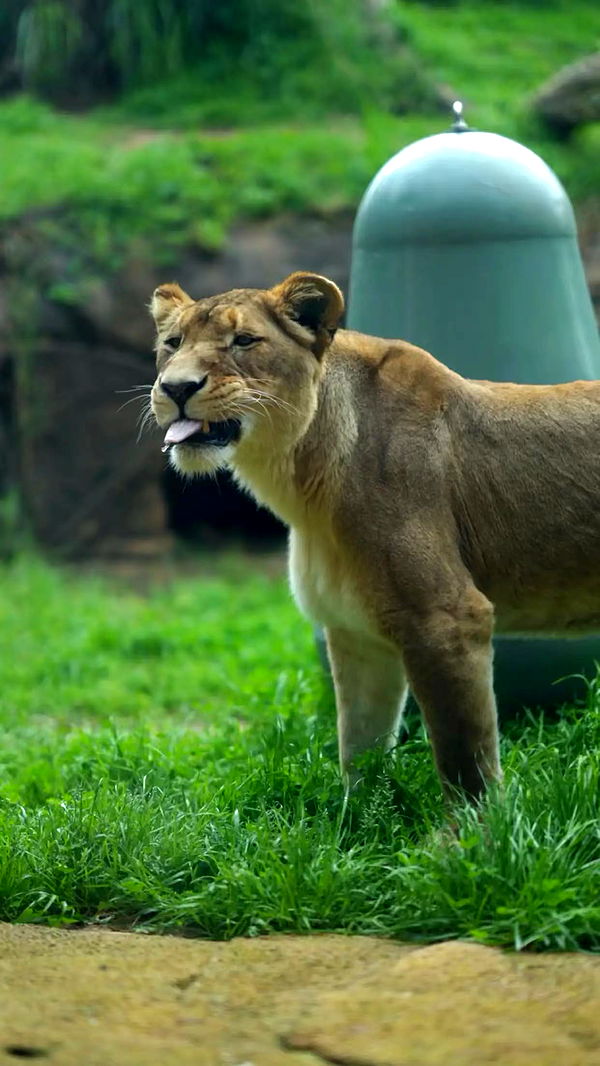 emxllouise image ~ Altpins