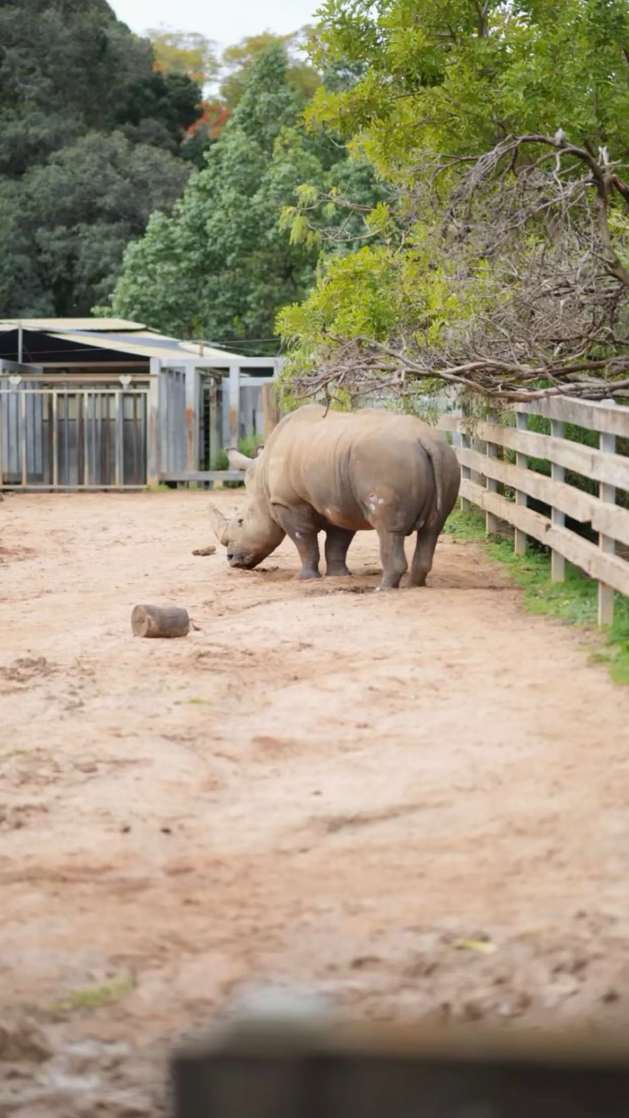 emxllouise snapchat image archive image